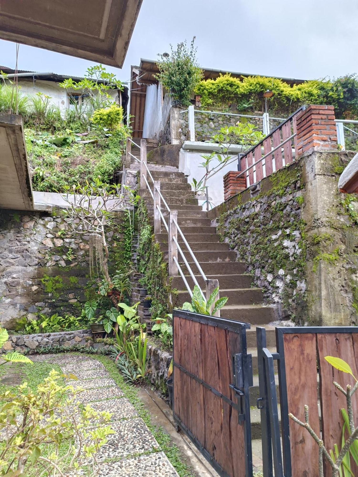 Made Oka Homestay And Warung Munduk Buitenkant foto