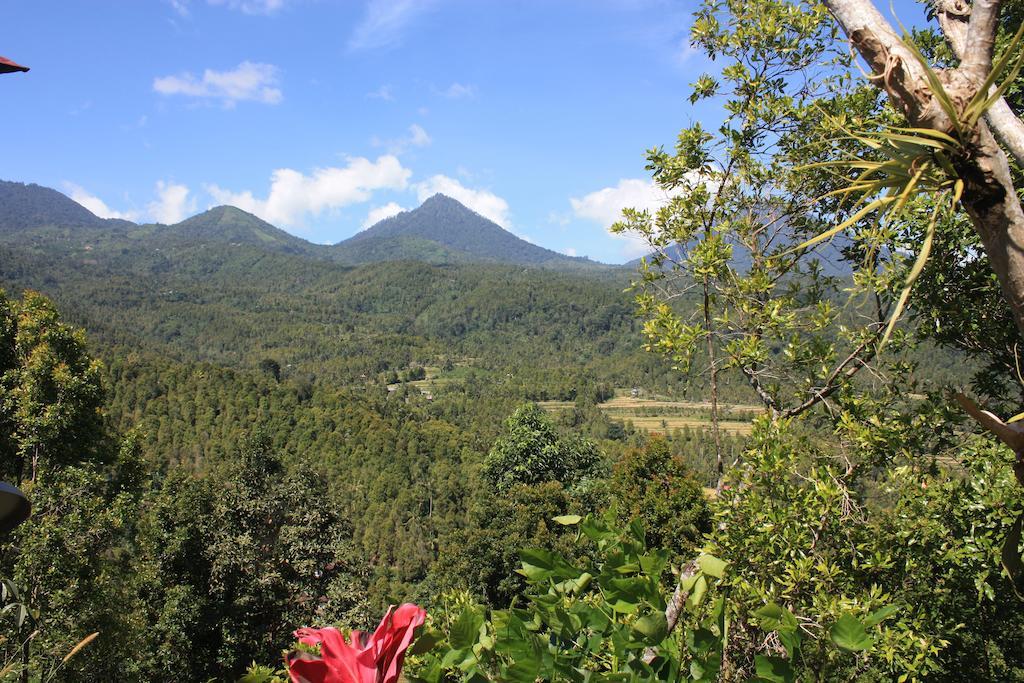 Made Oka Homestay And Warung Munduk Buitenkant foto
