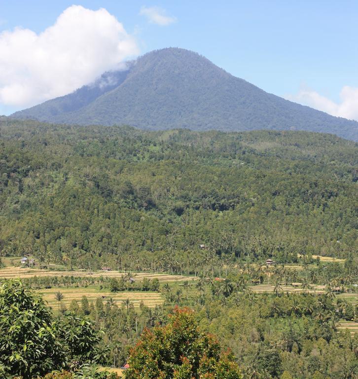 Made Oka Homestay And Warung Munduk Buitenkant foto